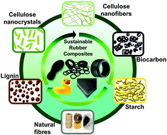 Graphical abstract: Bioresourced fillers for rubber composite sustainability: current development and future opportunities