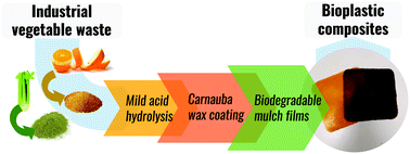 Graphical abstract: Direct transformation of industrial vegetable waste into bioplastic composites intended for agricultural mulch films