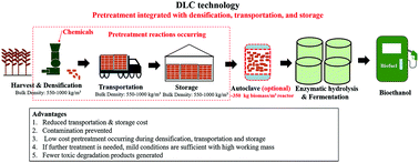 Graphical abstract: Densifying Lignocellulosic biomass with alkaline Chemicals (DLC) pretreatment unlocks highly fermentable sugars for bioethanol production from corn stover