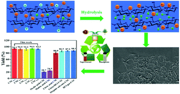 Graphical abstract: An environmentally friendly and economical strategy to cyclically produce cellulose nanocrystals with high thermal stability and high yield