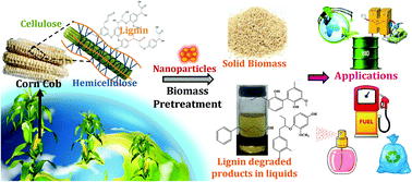 Graphical abstract: An eco-friendly biomass pretreatment strategy utilizing reusable enzyme mimicking nanoparticles for lignin depolymerization and biofuel production
