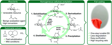 Graphical abstract: A more sustainable synthesis approach for cellulose acetate using the DBU/CO2 switchable solvent system