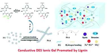 Graphical abstract: Lignin promoted the fast formation of a robust and highly conductive deep eutectic solvent ionic gel at room temperature for a flexible quasi-solid-state supercapacitor and strain sensors
