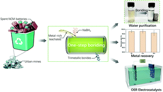 Graphical abstract: Synergistic recycling and conversion of spent Li-ion battery leachate into highly efficient oxygen evolution catalysts