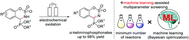 Graphical abstract: Energy-, time-, and labor-saving synthesis of α-ketiminophosphonates: machine-learning-assisted simultaneous multiparameter screening for electrochemical oxidation