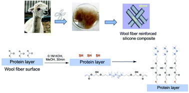 Graphical abstract: Naked alpaca wool works better with silicone elastomers