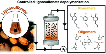Graphical abstract: Controlled lignosulfonate depolymerization via solvothermal fragmentation coupled with catalytic hydrogenolysis/hydrogenation in a continuous flow reactor
