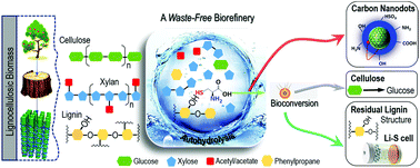 Graphical abstract: A scalable waste-free biorefinery inspires revenue from holistic lignocellulose valorization