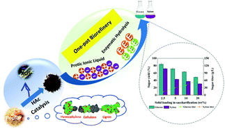 Graphical abstract: Integration of acetic acid catalysis with one-pot protic ionic liquid configuration to achieve high-efficient biorefinery of poplar biomass