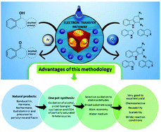 Graphical abstract: Visible light mediated selective oxidation of alcohols and oxidative dehydrogenation of N-heterocycles using scalable and reusable La-doped NiWO4 nanoparticles