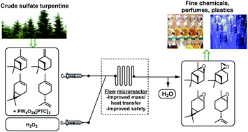 Graphical abstract: Sustainable catalytic epoxidation of biorenewable terpene feedstocks using H2O2 as an oxidant in flow microreactors