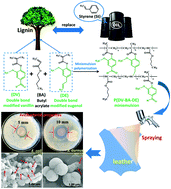 Graphical abstract: A sustainable waterborne vanillin–eugenol–acrylate miniemulsion with suitable antibacterial properties as a substitute for the styrene–acrylate emulsion