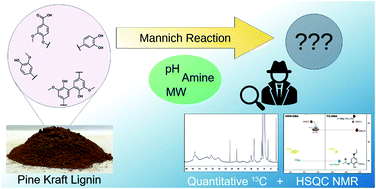 Graphical abstract: Improved understanding of technical lignin functionalization through comprehensive structural characterization of fractionated pine kraft lignins modified by the Mannich reaction