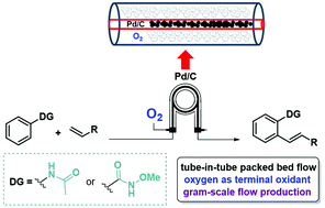 Graphical abstract: Aerobic waste-minimized Pd-catalysed C–H alkenylation in GVL using a tube-in-tube heterogeneous flow reactor