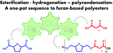 Graphical abstract: Multicatalysis from renewable resources: a direct route to furan-based polyesters