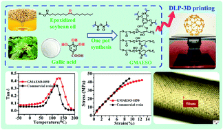 Graphical abstract: High-performance 3D printing UV-curable resins derived from soybean oil and gallic acid