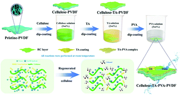 Graphical abstract: Regenerated cellulose strongly adhered by a supramolecular adhesive onto the PVDF membrane for a highly efficient oil/water separation