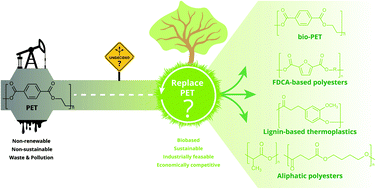 Graphical abstract: Recommendations for replacing PET on packaging, fiber, and film materials with biobased counterparts