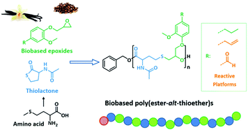 Graphical abstract: Bio-based poly(ester-alt-thioether)s synthesized by organo-catalyzed ring-opening copolymerizations of eugenol-based epoxides and N-acetyl homocysteine thiolactone