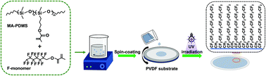 Graphical abstract: Fluoroalkyl-grafted methacrylate-PDMS membranes using fluoromonomer as a diluent for enhancing biobutanol pervaporation