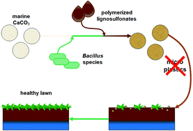 Graphical abstract: A biobased, bioactive, low CO2 impact coating for soil improvers