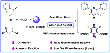 Graphical abstract: Aqueous CO2 fixation: construction of pyridine skeletons in cooperation with ammonium cations