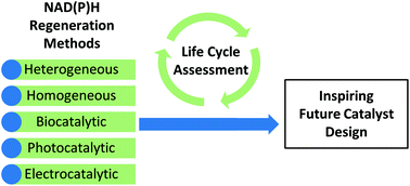 Graphical abstract: Comparative life cycle assessment of NAD(P)H regeneration technologies