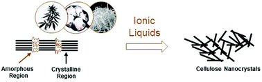 Graphical abstract: Cellulose nanocrystals from ionic liquids: a critical review