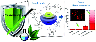 Graphical abstract: A carboxymethylcellulose-mediated aqueous colloidal process for building plasmonic–excitonic supramolecular nanoarchitectures based on gold nanoparticles/ZnS quantum emitters for cancer theranostics