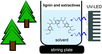 Graphical abstract: ‘Lignin and extractives first’ conversion of lignocellulosic residual streams using UV light from LEDs