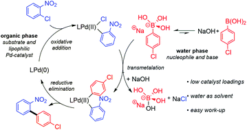 Graphical abstract: Pd-Catalysed Suzuki–Miyaura cross-coupling of aryl chlorides at low catalyst loadings in water for the synthesis of industrially important fungicides