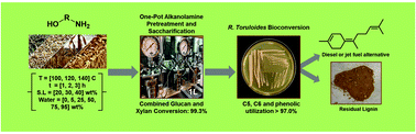 Graphical abstract: Alkanolamines as Dual Functional Solvents for Biomass Deconstruction and Bioenergy Production