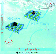 Graphical abstract: Ni–Al/CoOx-catalyzed hydrodeoxygenation of 5-hydroxymethylfurfural into 2,5-dimethylfuran at low temperatures without external hydrogen