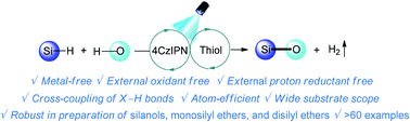 Graphical abstract: Metal-free hydrogen evolution cross-coupling enabled by synergistic photoredox and polarity reversal catalysis