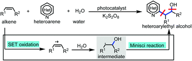 Graphical abstract: Visible-light-mediated three-component Minisci reaction for heteroarylethyl alcohols synthesis