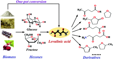 Graphical abstract: Sustainable production of levulinic acid and its derivatives for fuel additives and chemicals: progress, challenges, and prospects