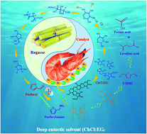 Graphical abstract: Exploration of benign deep eutectic solvent–water systems for the highly efficient production of furfurylamine from sugarcane bagasse via chemoenzymatic cascade catalysis