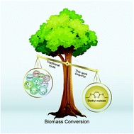 Graphical abstract: One-pot production of diethyl maleate via catalytic conversion of raw lignocellulosic biomass