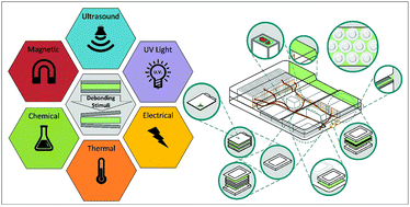 Graphical abstract: Debondable adhesives and their use in recycling