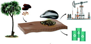 Graphical abstract: Upcycling agricultural waste into membranes: from date seed biomass to oil and solvent-resistant nanofiltration