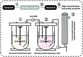 Graphical abstract: Combined bioderivatization and engineering approach to improve the efficiency of geraniol production