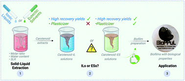 Graphical abstract: Ionic liquids or eutectic solvents? Identifying the best solvents for the extraction of astaxanthin and β-carotene from Phaffia rhodozyma yeast and preparation of biodegradable films