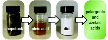 Graphical abstract: Multi-step chemo-enzymatic synthesis of azelaic and pelargonic acids from the soapstock of high-oleic sunflower oil refinement