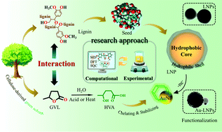 Graphical abstract: New insight into lignin aggregation guiding efficient synthesis and functionalization of a lignin nanosphere with excellent performance