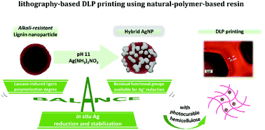 Graphical abstract: Digital light processing (DLP) 3D-fabricated antimicrobial hydrogel with a sustainable resin of methacrylated woody polysaccharides and hybrid silver-lignin nanospheres