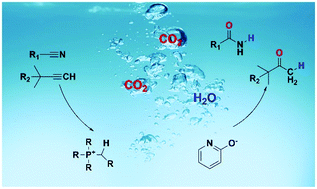 Graphical abstract: A CO2-mediated base catalysis approach for the hydration of triple bonds in ionic liquids