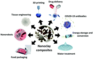 Graphical abstract: Sustainable and safer nanoclay composites for multifaceted applications