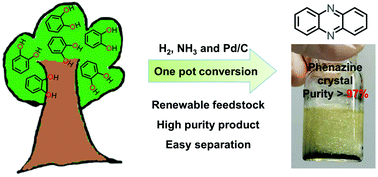 Graphical abstract: One-pot production of phenazine from lignin-derived catechol