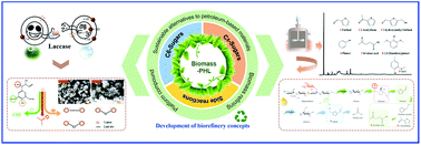 Graphical abstract: Study on the removal of lignin from pre-hydrolysis liquor by laccase-induced polymerization and the conversion of xylose to furfural