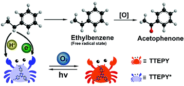 Graphical abstract: Redox-active and Brønsted basic dual sites for photocatalytic activation of benzylic C–H bonds based on pyridinium derivatives